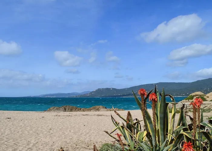 Cozy In With Wifi Propriano (Corsica)