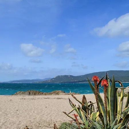 Cozy In With Wifi Propriano (Corsica)